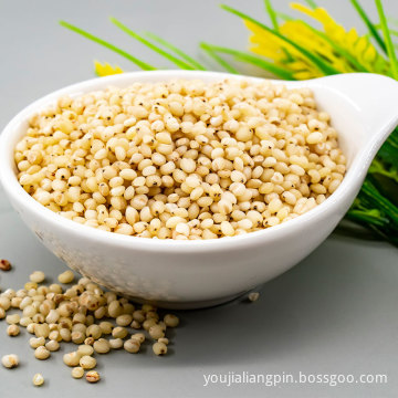 Rich in dietary fiber low price sorghum rice